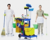 Загородная недвижимость: Уход за загородным домом